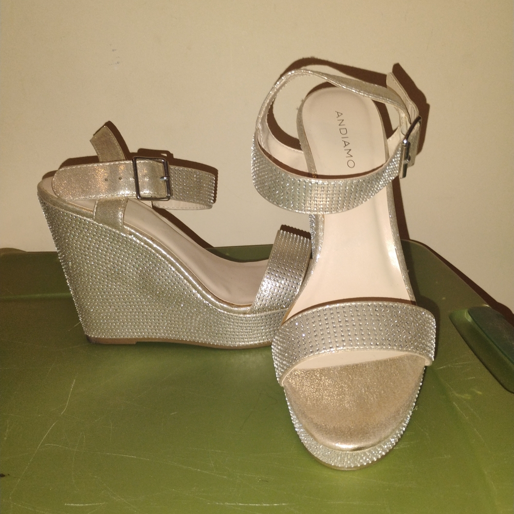 Andiamo Women's Glittering Silver Wedge Sandals
